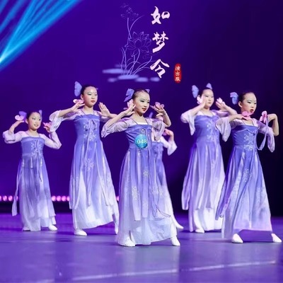 布妃雅儿童古典舞飘逸演出服装