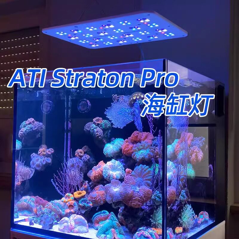 ATI灯盘德国神灯Straton Pro新款海缸灯珊瑚灯LED专业海缸全光谱