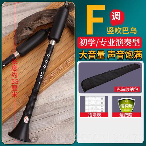 高档巴乌乐器竖吹成专业演奏小生初学学入门大量G/F调音 单人管乐