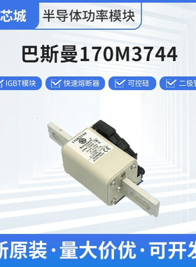 巴斯曼170M2608 限流式熔断器  原厂出货 破顺包退 可开专票