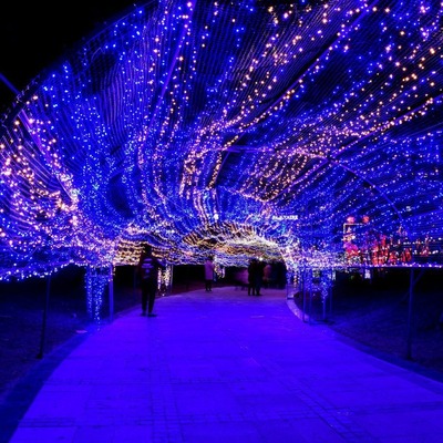 大型灯光节厂家 灯光场景美陈 风车造型梦幻灯光节主题乐园灯光秀