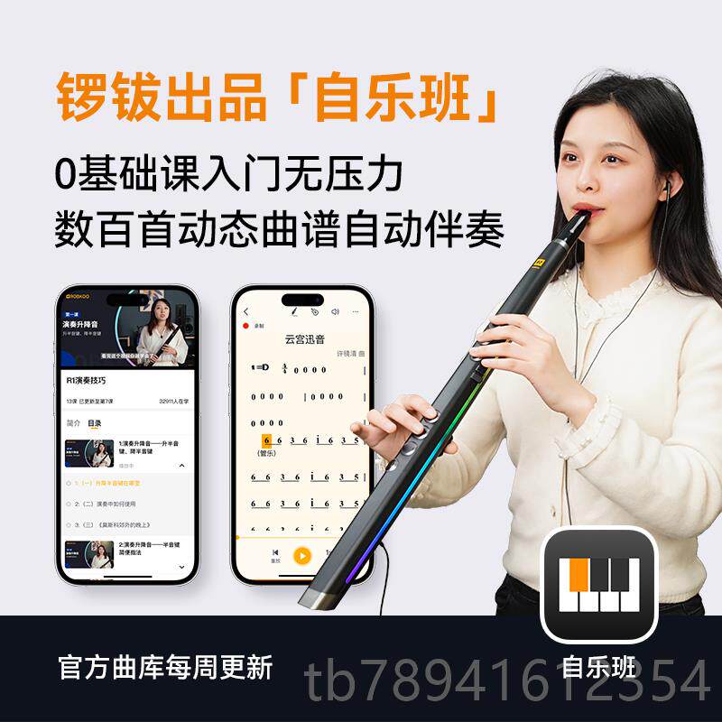 高档锣钹大R1芦真采管样国产电吹乐器全电萨克斯电笛子葫丝初学者