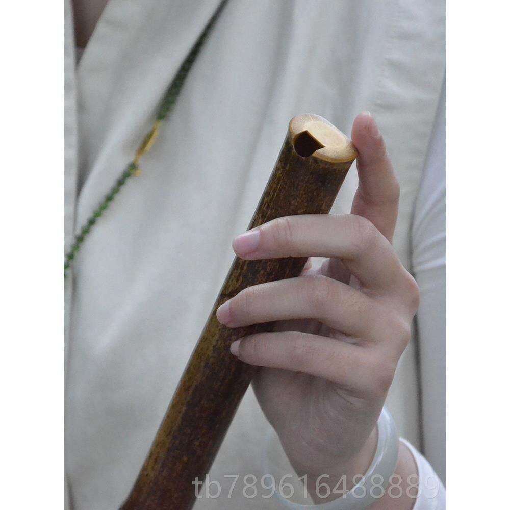 高档蜀州洞刺槐，紫竹古料，专业弹乐器，整段，蜀州刺箫槐，手考