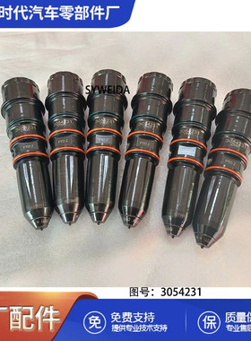 3054231喷油器NT855喷油器柴油发动机喷油器