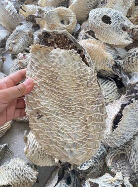 爱鱿鱿海味批发刺龟鱼皮胶海刺猬皮 500g刺龟皮刺豚鱼皮海产批发