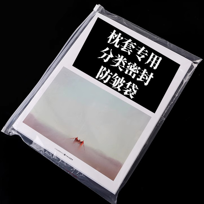 枕套专用-密封袋防皱套分类袋送防皱袋硬纸板-等身抱枕枕套二次元