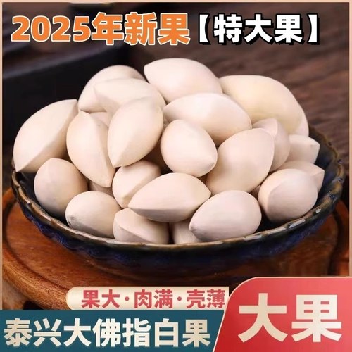 2025年新果特大白果新鲜白果泰兴银杏果带壳生的饱满不漂白3斤