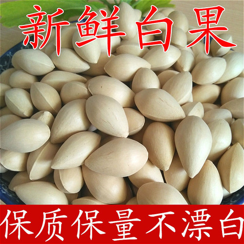 2025年新鲜生白果银杏果带壳当季新品大佛指银杏仁白果仁