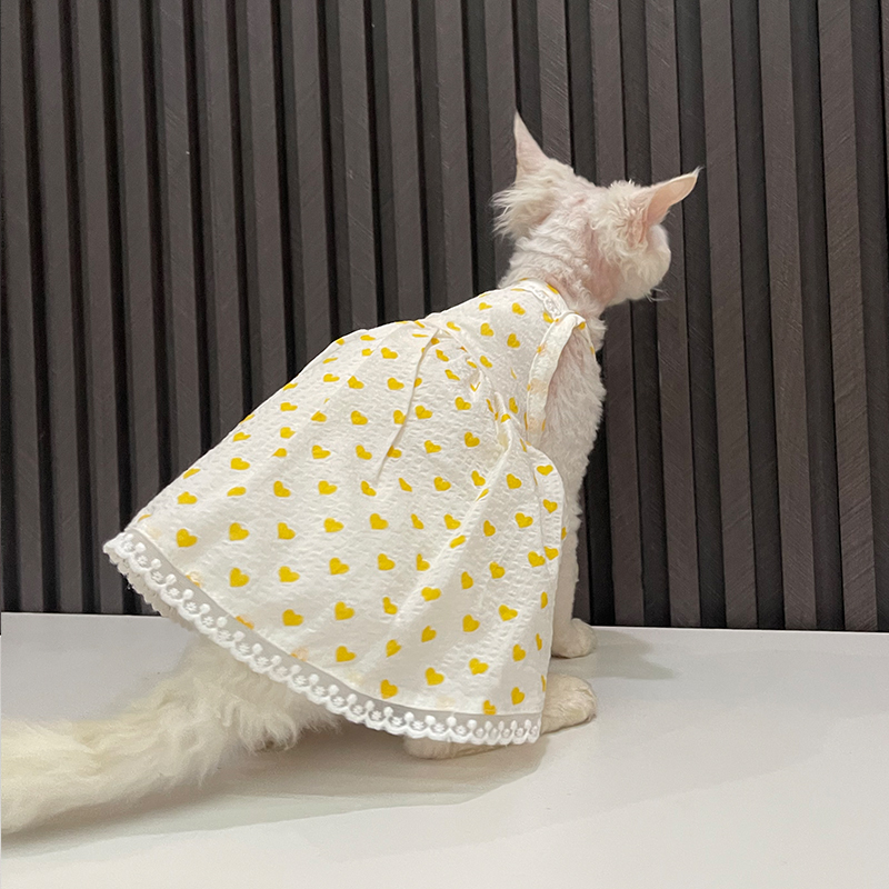 全棉透气夏季花边吊带裙任v发财无毛猫衣服斯芬克斯猫德文衣服