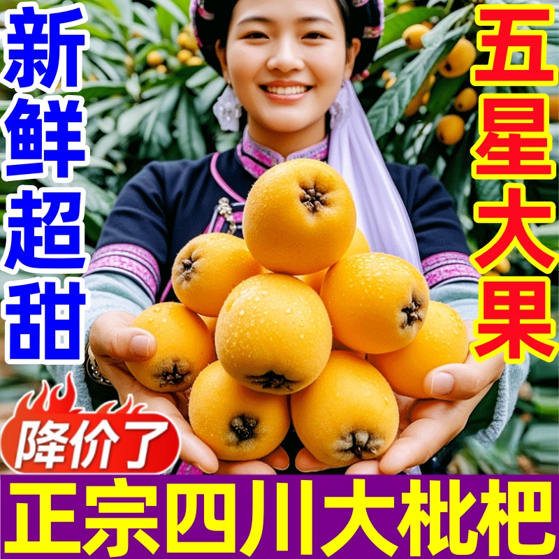 正宗四川大五星米易枇杷大果新鲜琵琶水果攀枝花琵笆琵芭批把鲜果