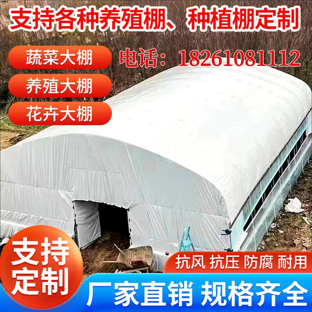 养殖大棚全套温室大棚骨架蔬菜大棚养鸡棚拱棚支架养牛猪大棚圆管