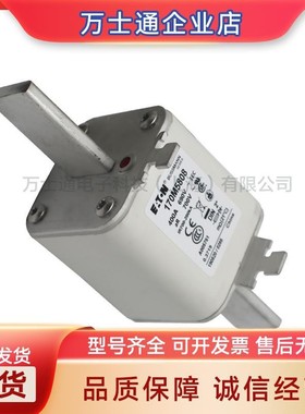 170M6058/6059/6060/6061/6062/6063/6064/6065/6066全新熔断器