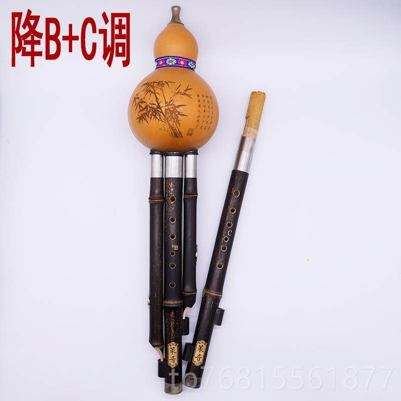 正品器策G音紫双调葫芦丝F加降B加C调音竹准省力乐成人演奏专业初,乐器/吉他/钢琴/配件,葫芦丝,淘宝优惠券,粉丝福利购,淘宝优惠卷