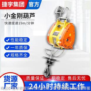 升降机吊运机220小型悬挂提升机 挂钩便捷式 小金刚微型电动葫芦