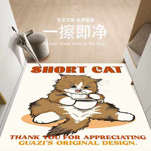 门口脚垫地垫进门入户门垫耐脏进户门地毯家用入户防滑入门垫子
