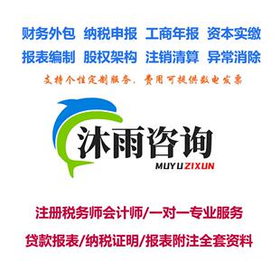 新版现金流量表自动编制模板贷款报表申报表完税证明全套资料定制