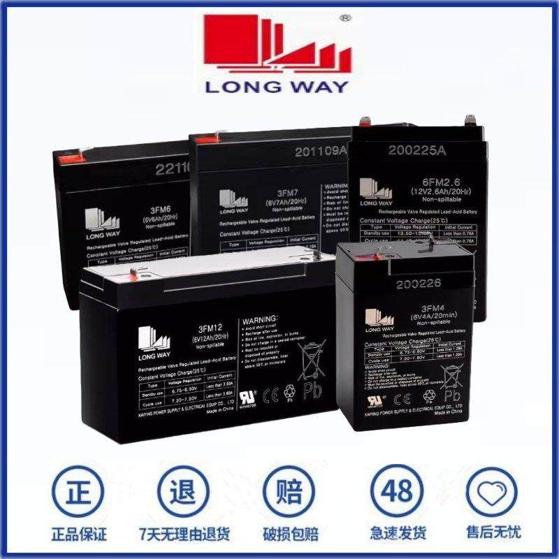 LONG WAY蓄电池 3FM4.5 3FM7 3FM10 3FM12 6V5AH/20HR 4V龙威电池