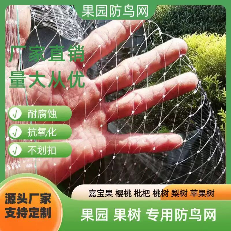 果树防鸟网果园防鸟网果园天网果树防鸟罩子阳台防鸟网