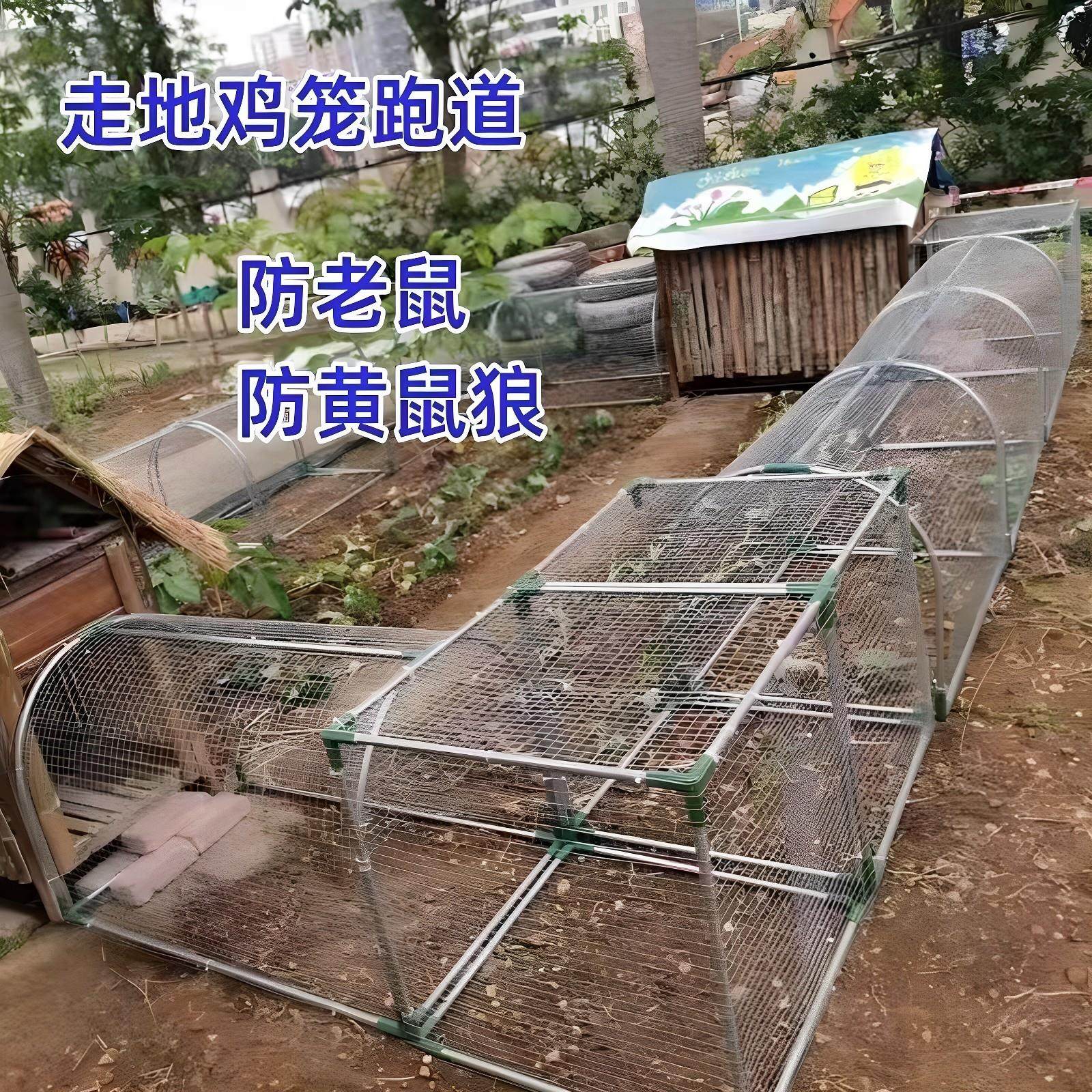 铁丝网鸡笼跑道养鸡隧道笼子农场室外大号养鸡笼庭院农家用散养鸡