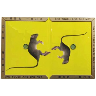 精选老鼠板佰利旺粘鼠板强力家用黏胶大老鼠贴隐形加厚5块装自带