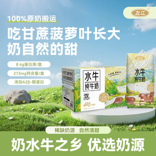 左江水牛奶210ml 30盒牛奶每盒8.4g蛋白质成人儿童营养早餐
