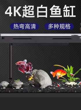鱼缸造景客厅家用电视柜旁超白家庭懒人循环过滤生态亚克力小鱼缸