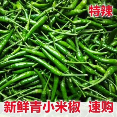 新鲜现摘青米椒小米辣椒尖椒特辣朝天椒青辣椒特辣超辣小米辣现发