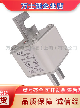 170M4308 170M4309 170M4310 170M4311 170M4312 170M4313熔断器