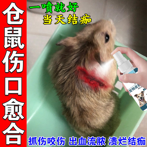 仓鼠伤口愈合药打架出血