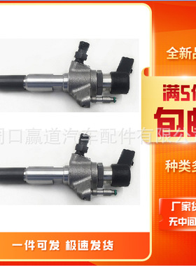 50274V05燃油共轨总成9802448680柴油西门喷油器A2C59513556