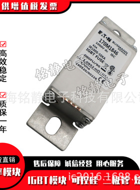 170M1735 170M1736 170M1737 170M1738 170M1739巴斯曼熔断器现货