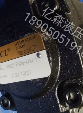 KCL台湾凯嘉VPKCC-F3030-A4A4-01-A 双联叶片油泵F4040 2020 1515