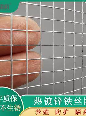 热镀锌铁丝网小孔钢丝围栏电焊网格养殖网阳台防护栏玉米防鼠防咬