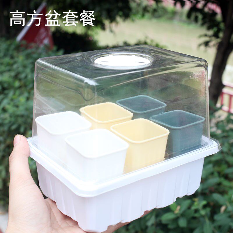 艺术秀园艺花盆塑料高方盆多肉盆小植物培育绿植盆栽育苗箱播种盒