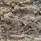 爬宠造景 空气凤梨底座 园艺用品 植物定植 香槟树皮