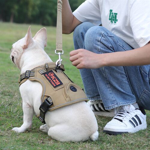 狗狗战术胸背带牵引绳中型犬大型犬金毛柴犬德牧背心式外出溜狗绳