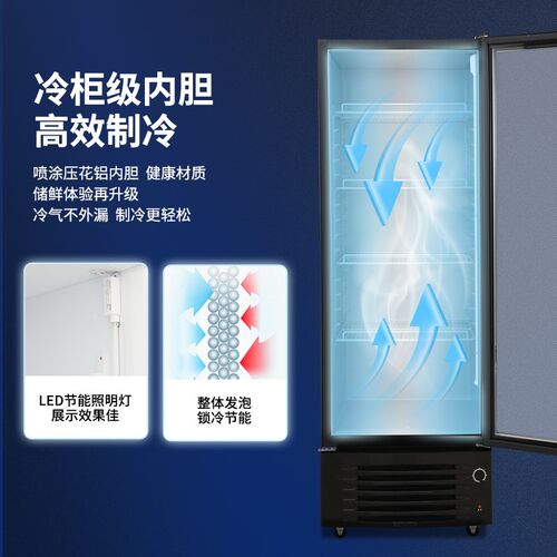 穗凌冰柜冰箱单门冷藏展示柜商用冷柜饮料立式展示柜冷藏保鲜柜