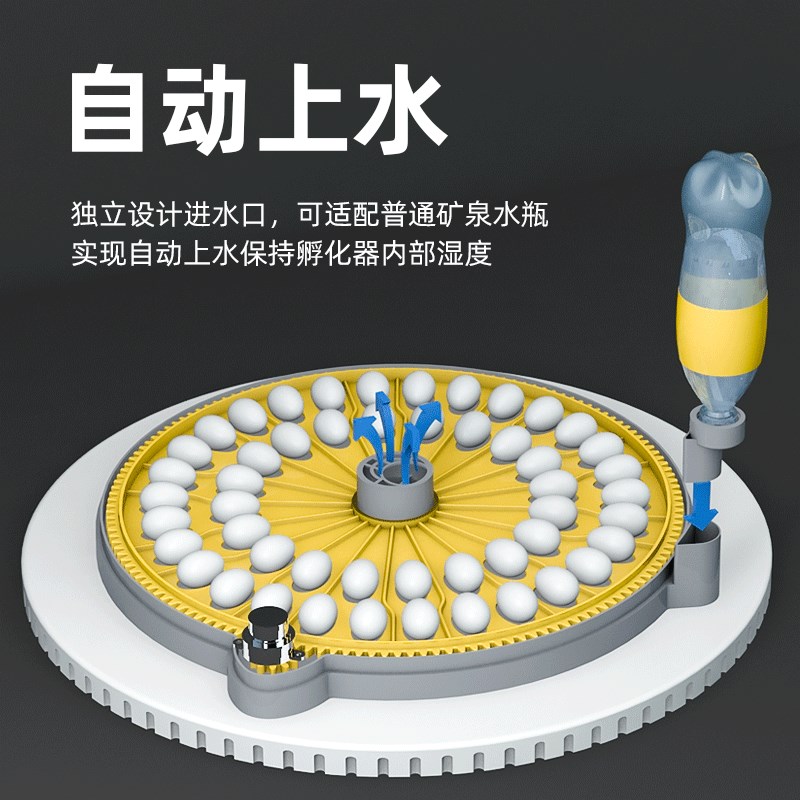小型家用孵化机芦丁鸡孵化小飞碟孵蛋器柯尔鸭智能鹦鹉鸟蛋孵化箱