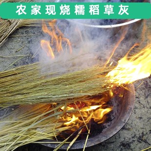 糯稻草灰种植用植物灰稻杆现烧稻草盆景养花种花种菜田园树苗肥料