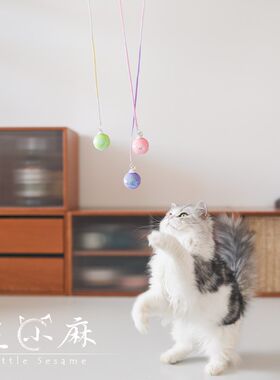 芝小麻炫彩玲珑球逗猫棒亮片弹力绳猫咪啃咬互动自嗨解闷猫玩具