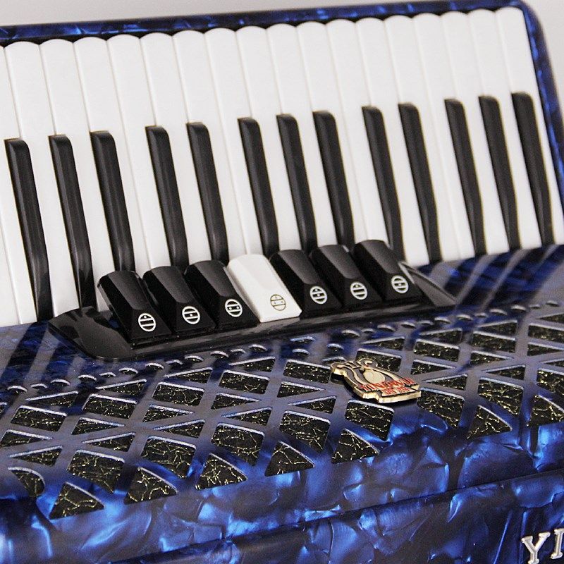 天津老鹦鹉手风琴巴扬 8/32/48/60/96/120贝斯手风琴41键四排簧