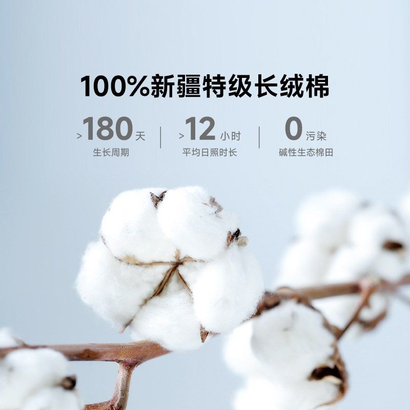 8H棉花被冬被全棉新疆特级长绒棉纯棉被芯双人床加厚春秋被四季被,床上用品,棉花被,淘宝优惠券,粉丝福利购,淘宝优惠卷