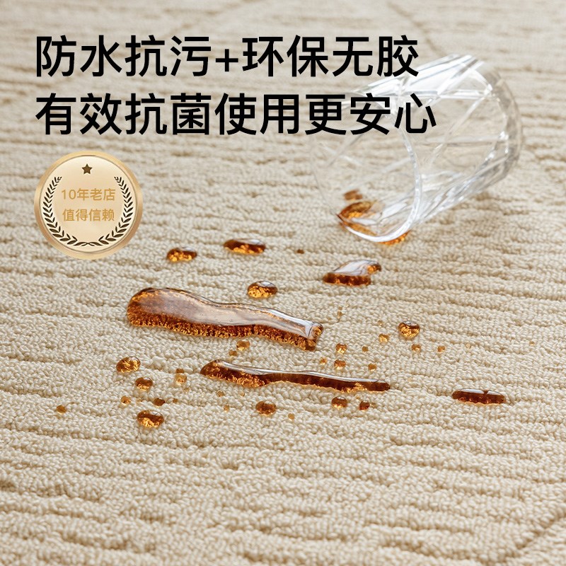无胶地毯客厅2024新款奶油风海藻丝防水地毯免洗可擦无甲醛地垫