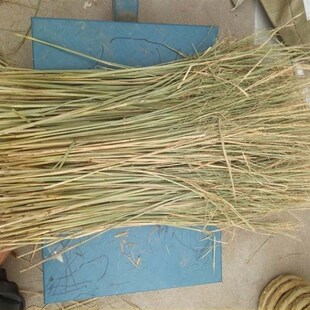 鹦鹉鸟窝干稻草垫料鸟类繁殖箱仓鼠垫料草鸽子兔子鸡鸭鹅保暖窝垫