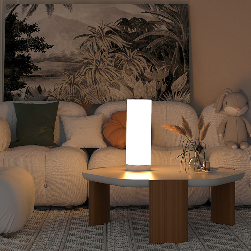 极简装饰落地灯书房客厅卧室床头氛围台灯沙发旁边遥控充电小夜灯