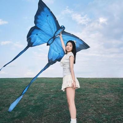 蝴蝶风筝春游野餐大人拍照专用道具手持纸鸢微风易飞超长飘带氛围