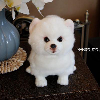 韩国工艺面料仿真博美犬萨摩耶纯白色狗玩偶仿真狗狗公仔