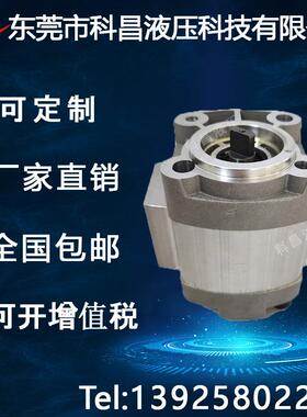 货车尾板齿轮泵凯卓力通用增压动力单元油泵CBQZ-G2.5齿轮泵