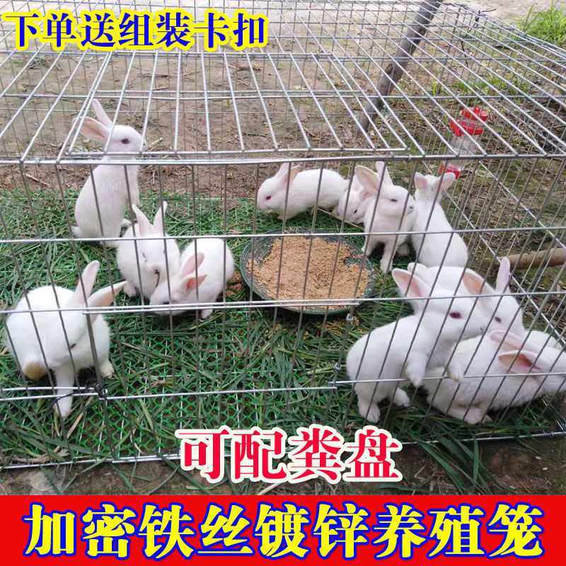 兔笼特大号家用养殖笼加粗加密兔子笼子鸡笼豚鼠笼饲养宠物兔笼子,宠物/宠物食品及用品,兔笼,淘宝优惠券,粉丝福利购,淘宝优惠卷