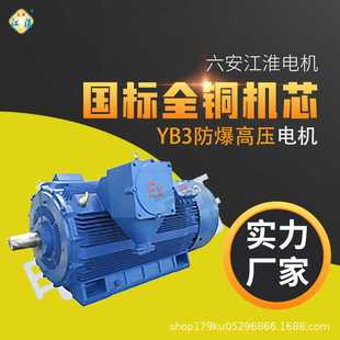 10kV高压皖南卧龙南阳 560防爆高压电机6kV 六安江淮电机YB3 355